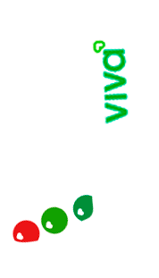 avión