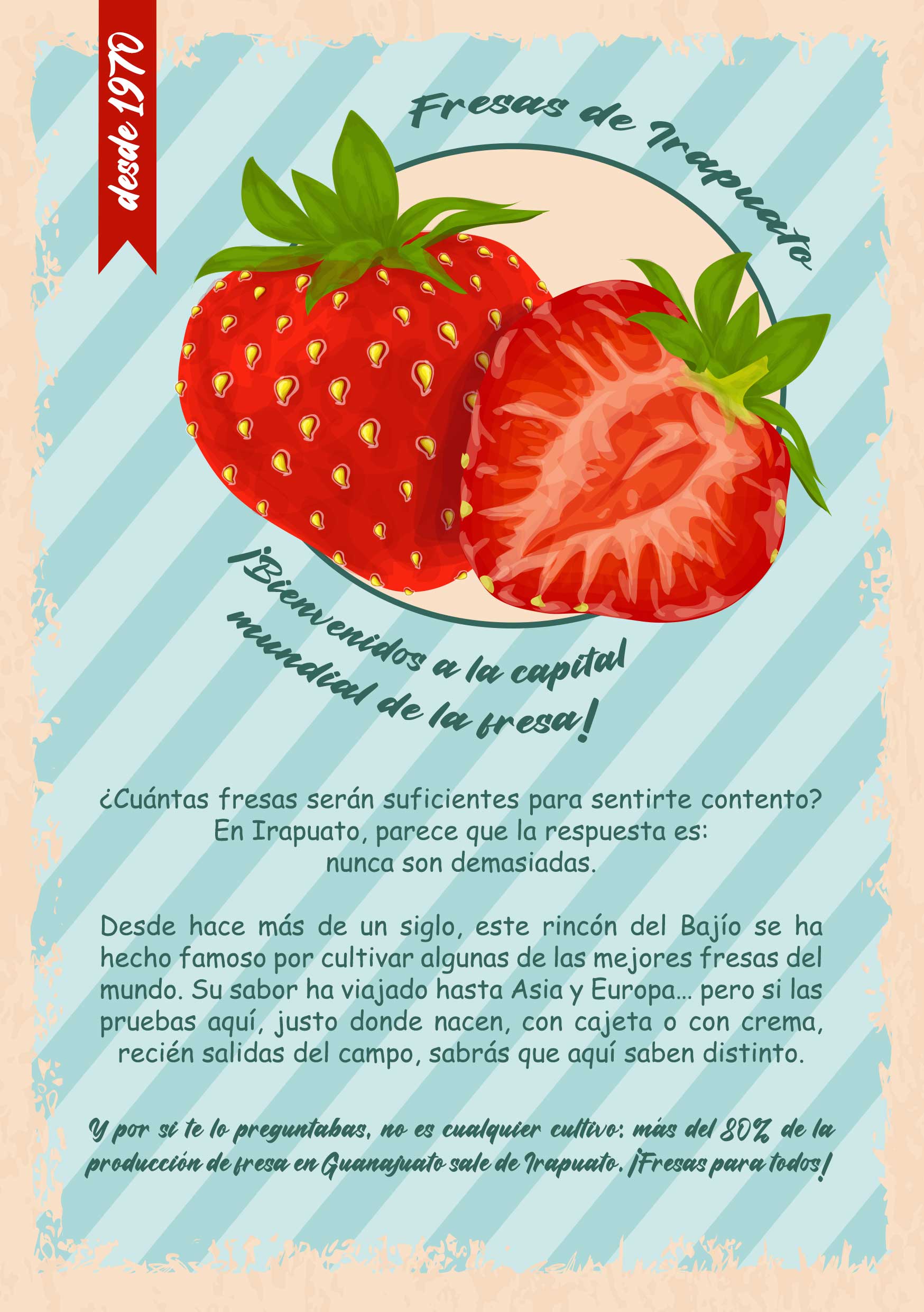 Imagen 10