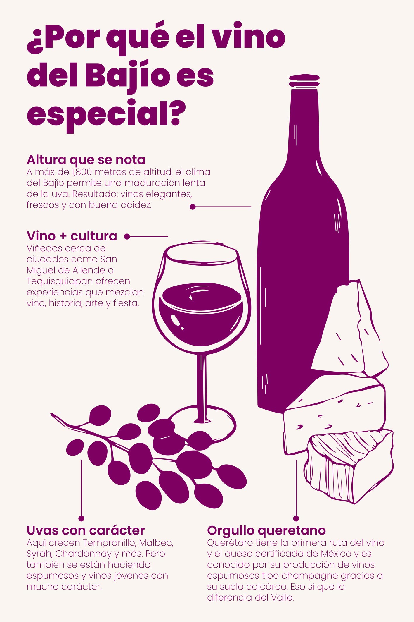 Imagen 11