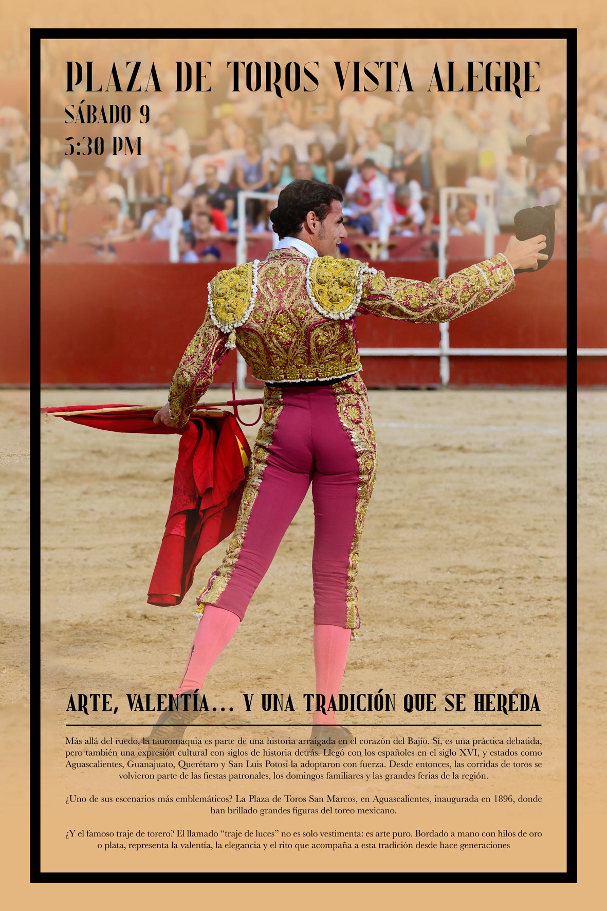 Imagen 6