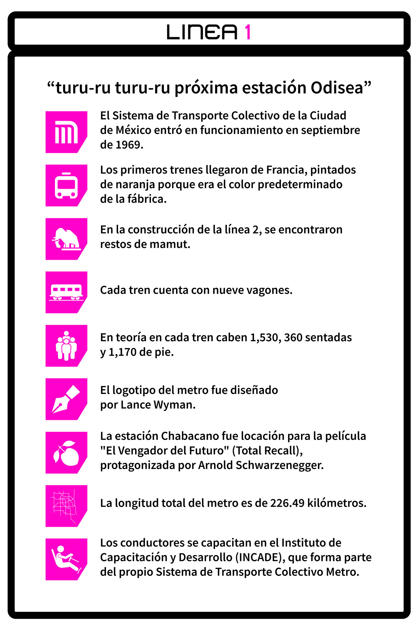 Imagen 12