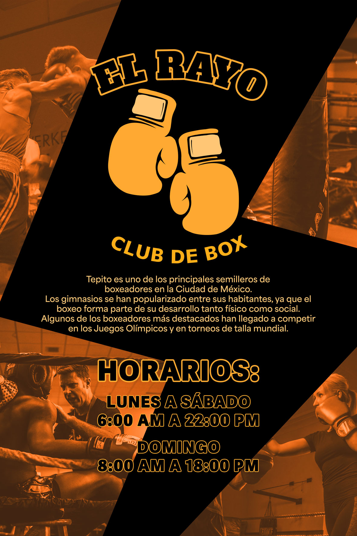 Imagen 2