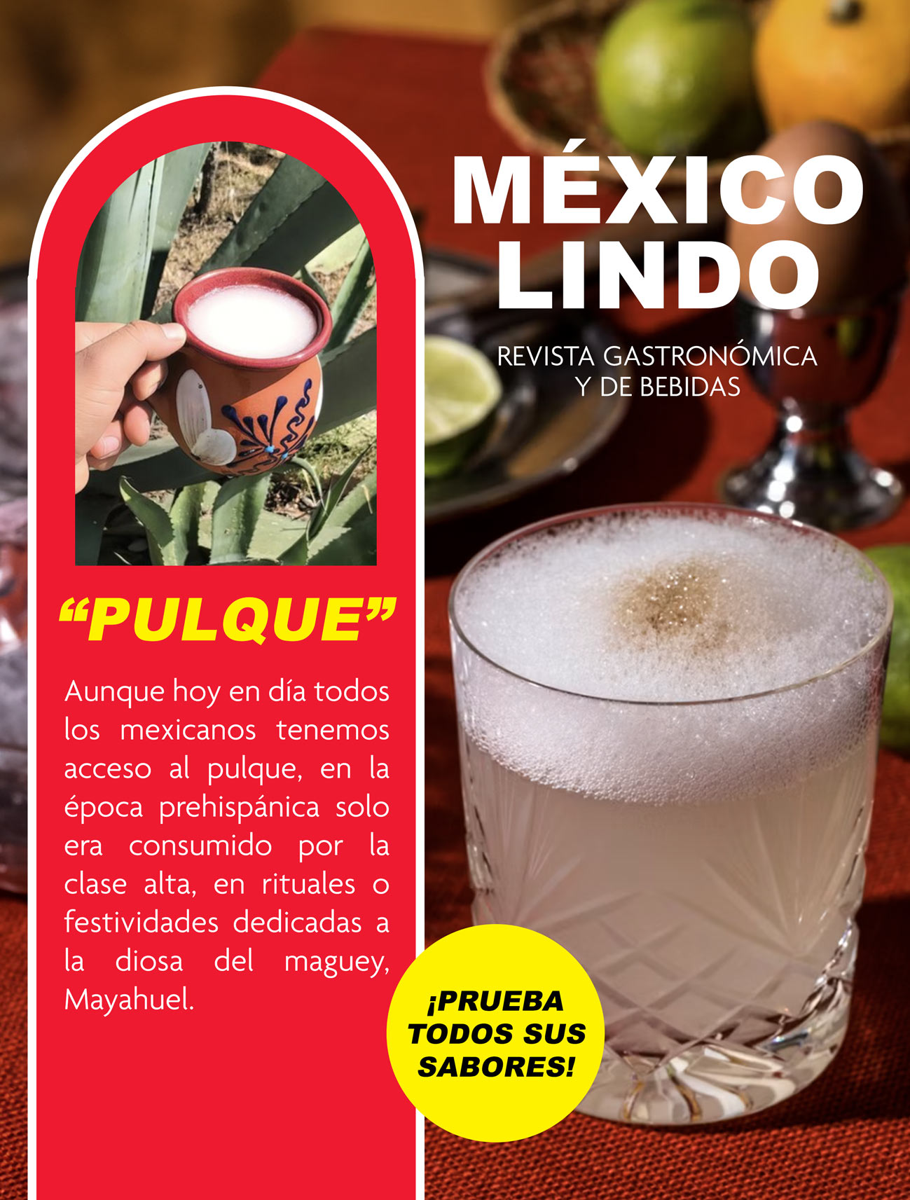 Imagen 21