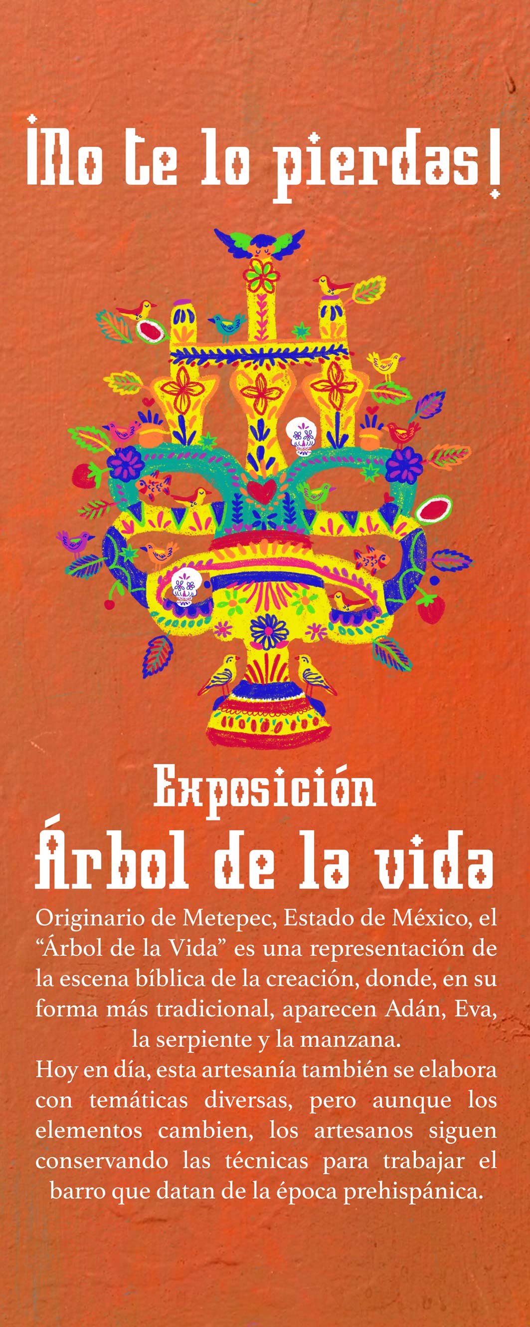 Imagen 22