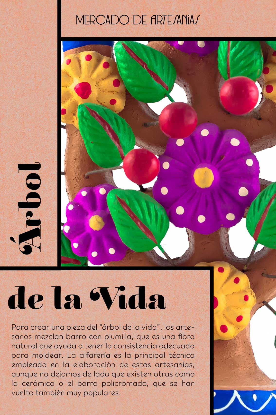 Imagen 9