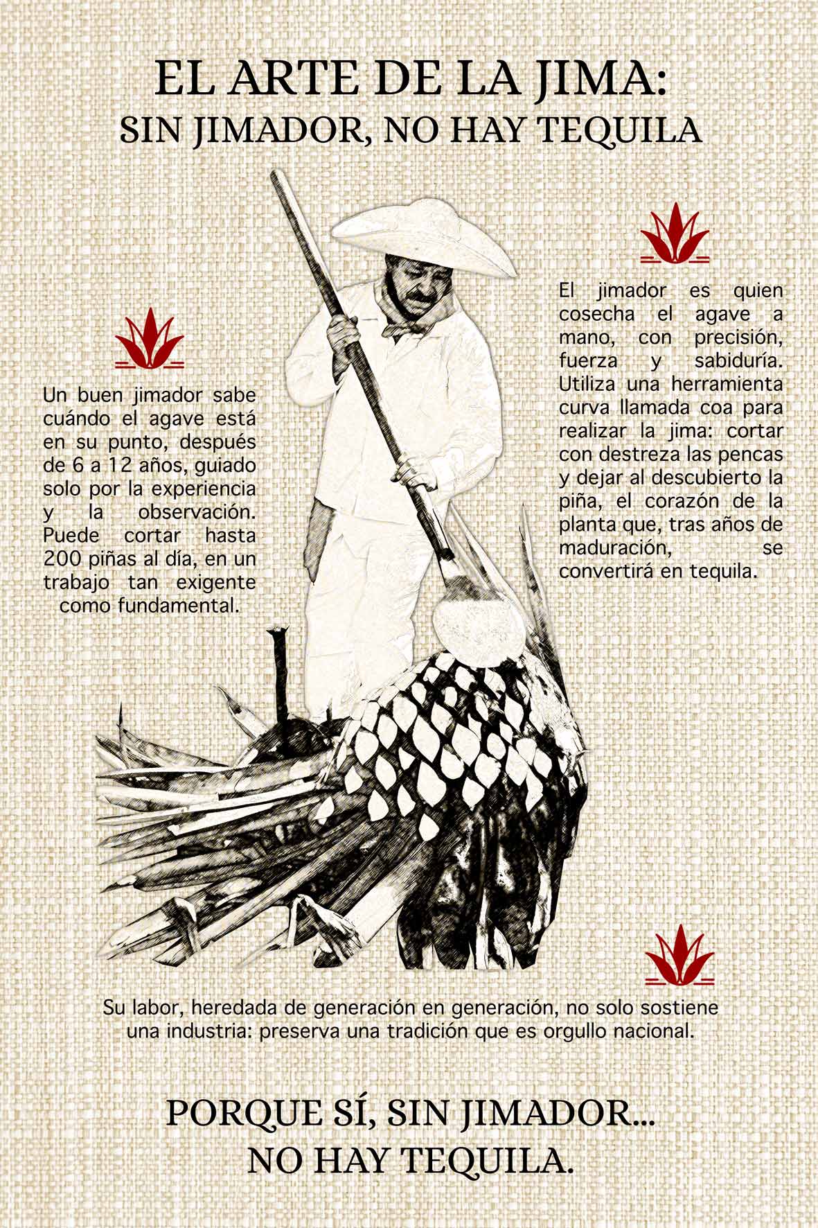 Imagen 6