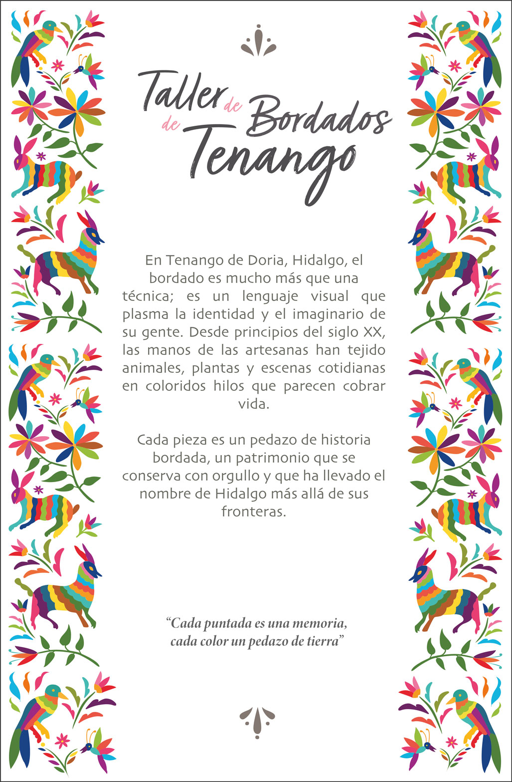 Imagen 12