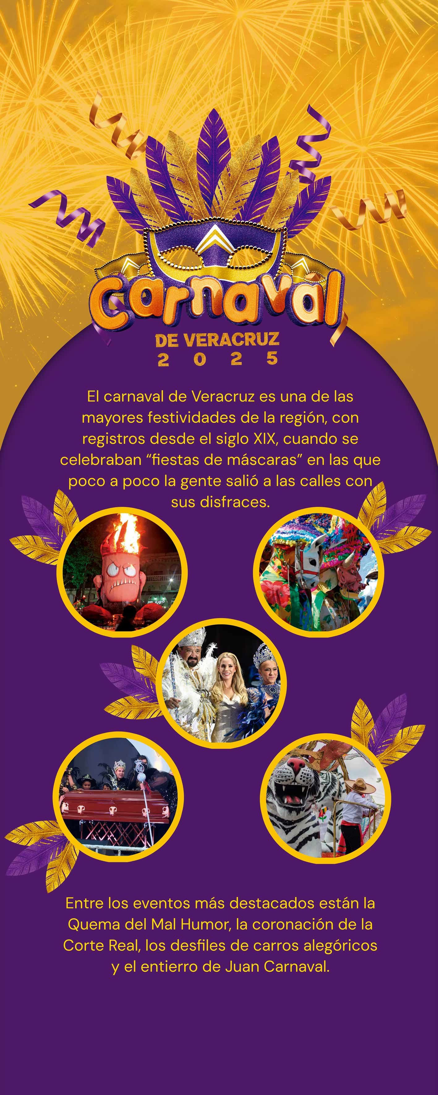 Imagen 7